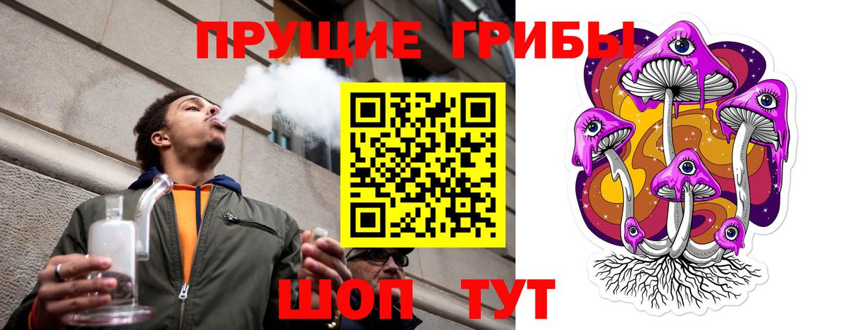 Псилоцибиновые грибы мицелий Старая Купавна
