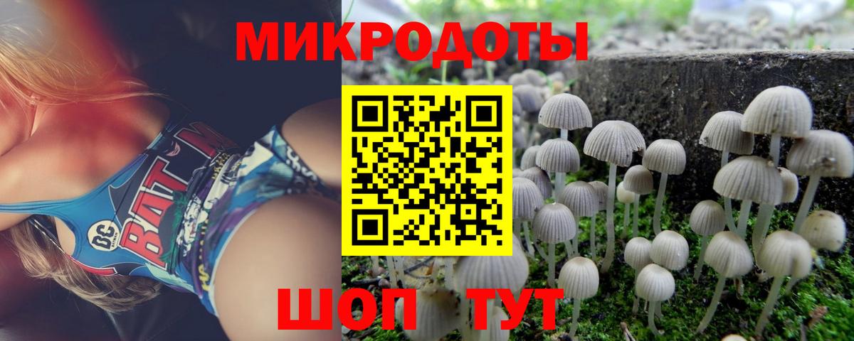 Старая Купавна  сколько стоит  Псилоцибиновые грибы MAGIC MUSHROOMS  Вход с VPN  Галлюциногенные грибы Psilocybe 